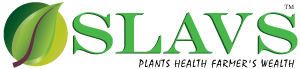 Slavs Agro